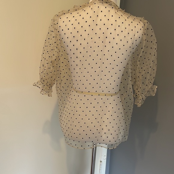 Shirt Zara sheer fabric size medium with ruffles and velvety polk a dots - Picture 4 of 6